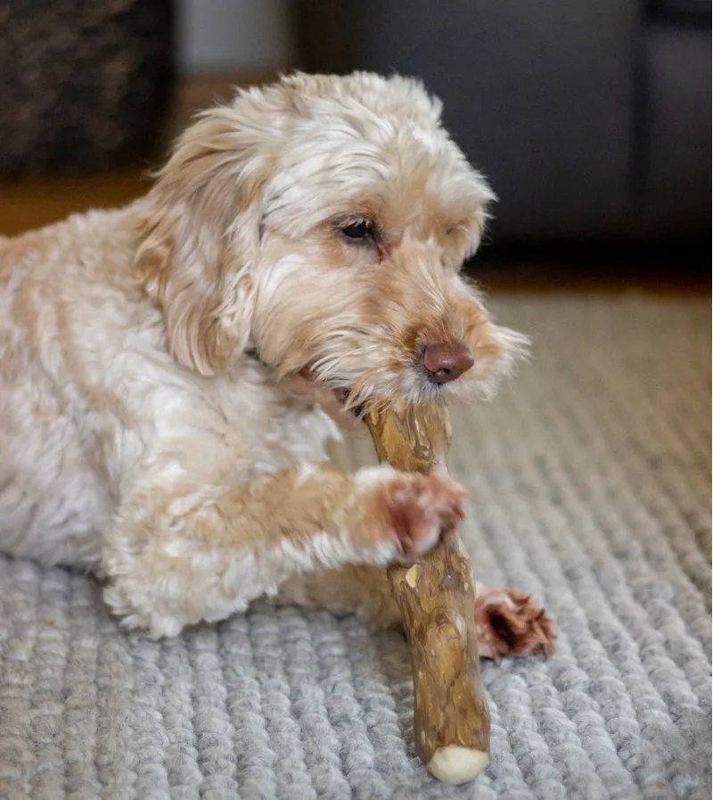 Rosewood Goodwood Dog Chew-2